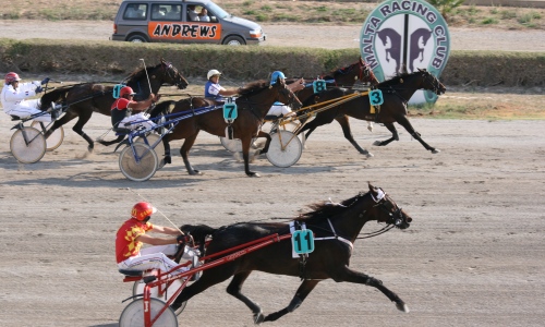 Race 6 confirmed result