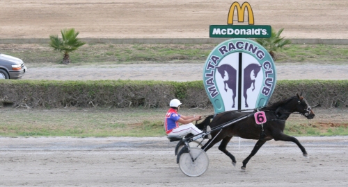 Race 5 confirmed result