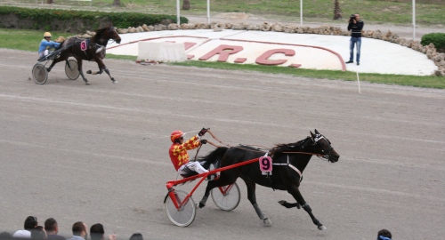 Race 5 confirmed result
