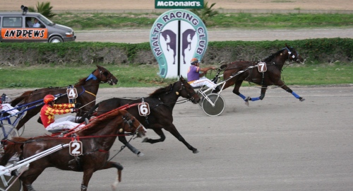 Race 7 confirmed result