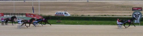 Race 5 confirmed result