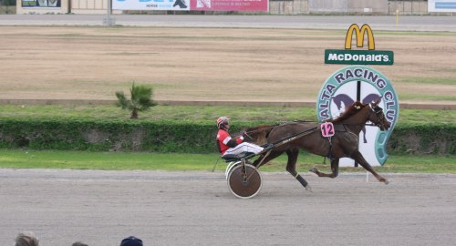 Race 5 confirmed result