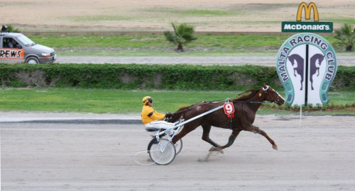 Race 8 confirmed result