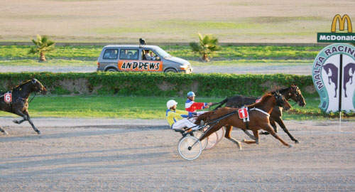 Race 8 confirmed result