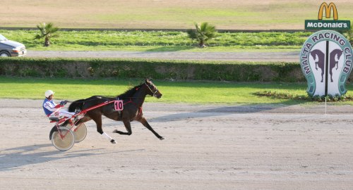 Race 5 confirmed result