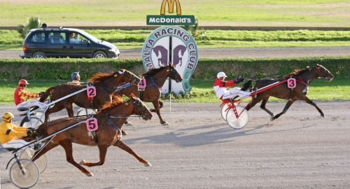 Race 5 confirmed result