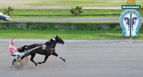 Race 7 confirmed result