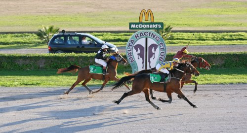 Race 5 confirmed result