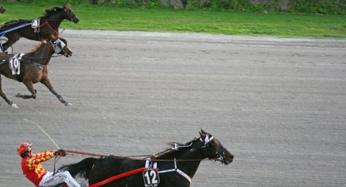 Race 7 confirmed result