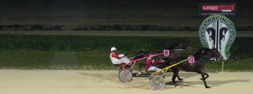 Race 5 confirmed result