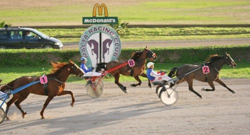 Race 5 confirmed result