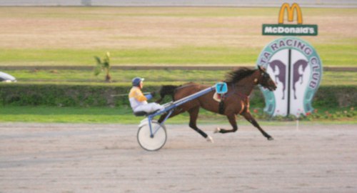 Race 6 confirmed result