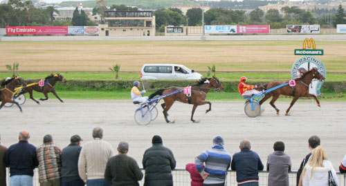 Race 5 confirmed result