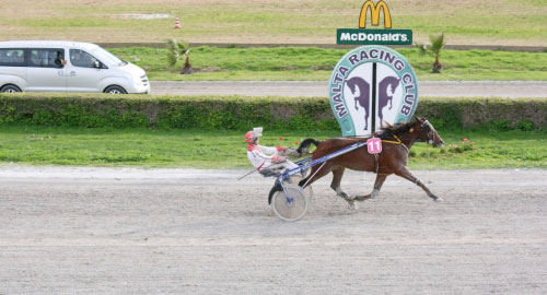 Race 5 confirmed result
