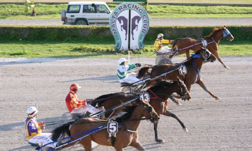 Race 7 confirmed result