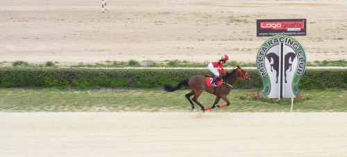 Race 4 confirmed result
