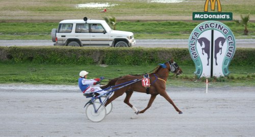 Race 8 confirmed result