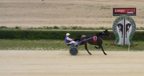 Race 5 confirmed result