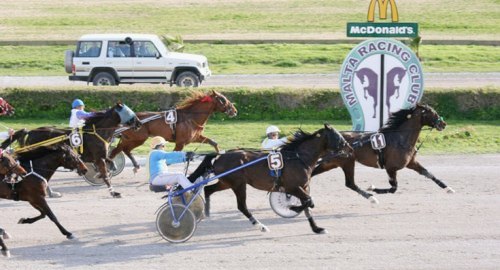 Race 7 confirmed result