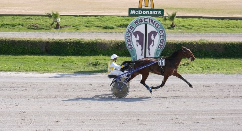Race 4 confirmed result