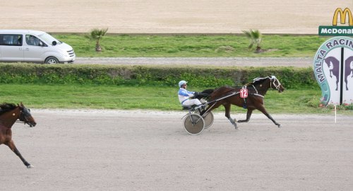 Race 8 confirmed result