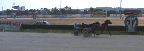 Race 8 confirmed result