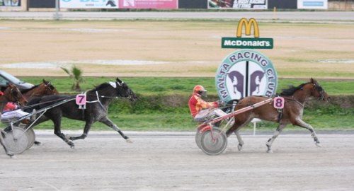 Race 5 confirmed result