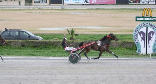 Race 7 confirmed result