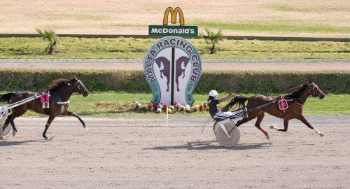 Race 5 confirmed result