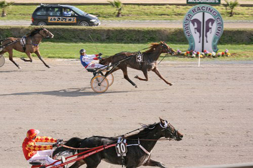 Race 7 confirmed result