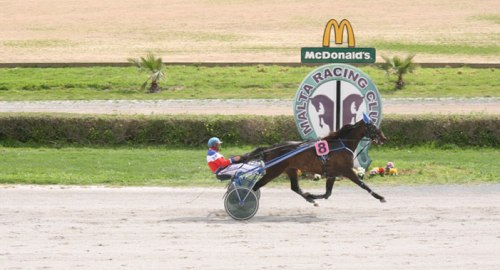 Race 5 confirmed result