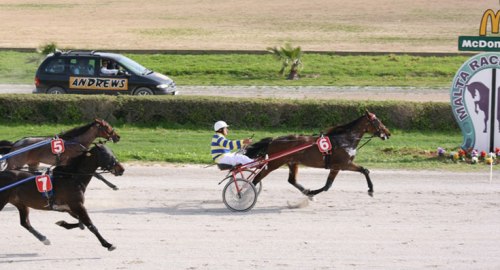 Race 8 confirmed result