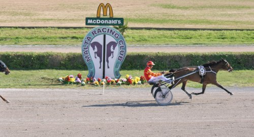Race 7 confirmed result