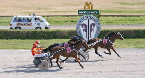 Race 5 confirmed result
