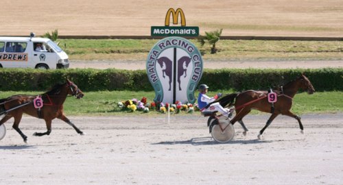 Race 5 confirmed result