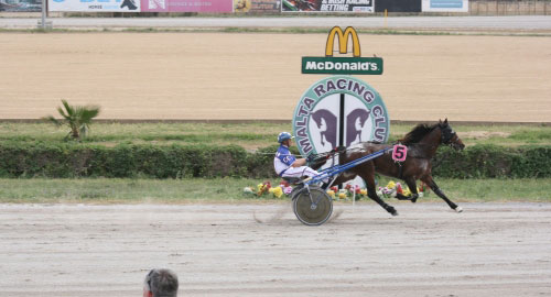Race 5 confirmed result