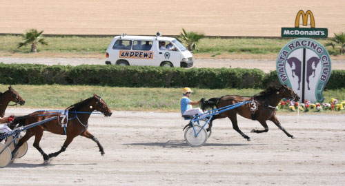Race 7 confirmed result