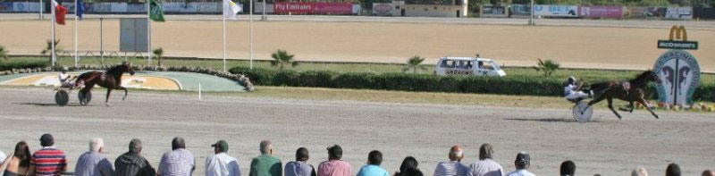 Race 8 confirmed result