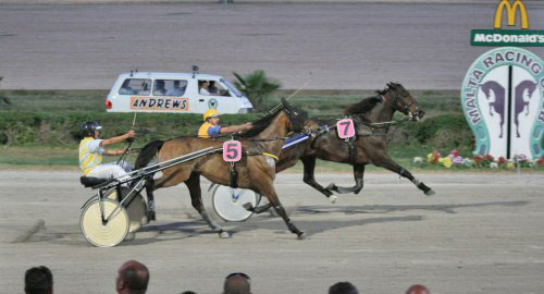 Race 5 confirmed result