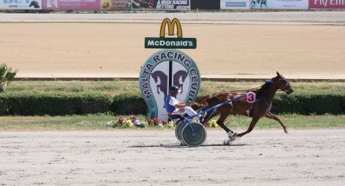 Race 5 confirmed result