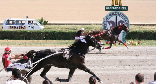 Race 7 confirmed result
