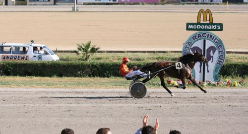 Race 10 confirmed result