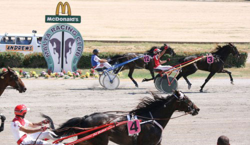 Race 5 confirmed result