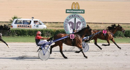 Race 5 confirmed result