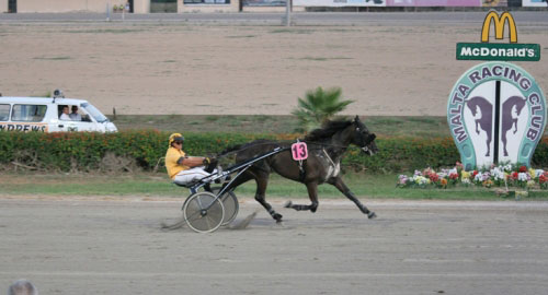 Race 5 confirmed result