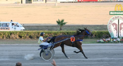 Race 3 confirmed result