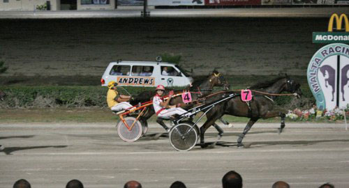 Race 5 confirmed result