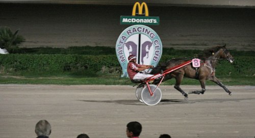 Race 5 confirmed result