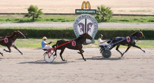 Race 5 confirmed result
