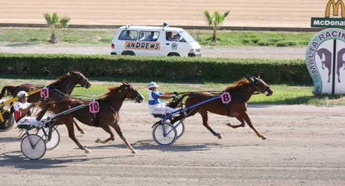 Race 5 confirmed result
